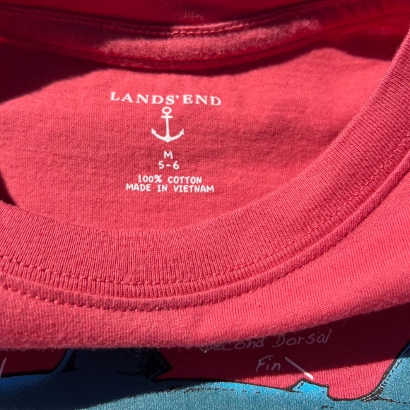 Great White Short Sleeve Tee Shirt - Picture 11 of 13